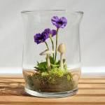 Tiny Purple Pansy Woodland ..