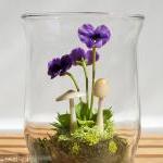 Tiny Purple Pansy Woodland ..