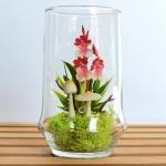 Tiny Red Dancing Lady Orchid Terrarium in Repurposed Vase