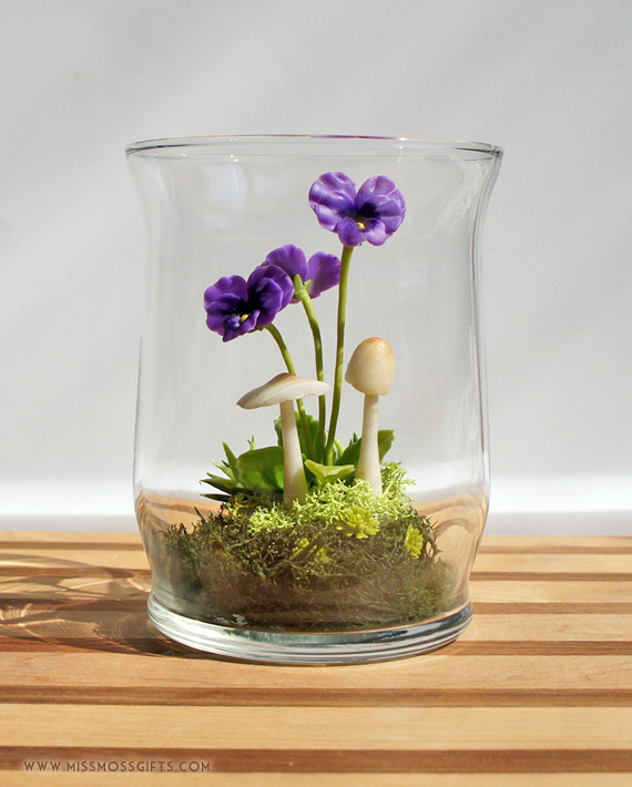 Tiny Purple Pansy Woodland Terrarium in Repurposed Glass