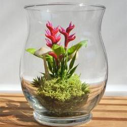 Miniature Exotic Heliconia Terrarium in Vintage Glass
